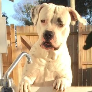 Meet your Posher, Kalsey